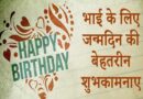 भाई को जन्मदिन की बधाई संदेश, Bhai Birthday Wishes