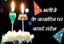 भतीजे के जन्मदिन पर बधाई संदेश, Nephew Birthday Wishes In Hindi