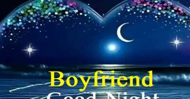 Good Night Messages For Boyfriend